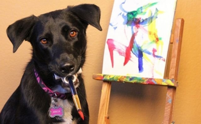 Пёс Арбор рисует картины для благотворительного фонда