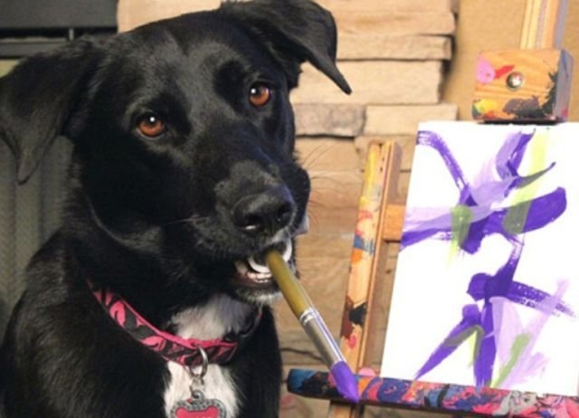 Пёс Арбор рисует картины для благотворительного фонда