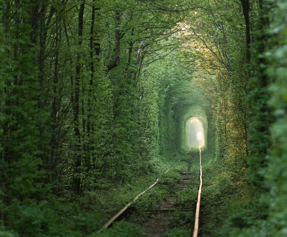Тоннель любви, Клевань, Украина