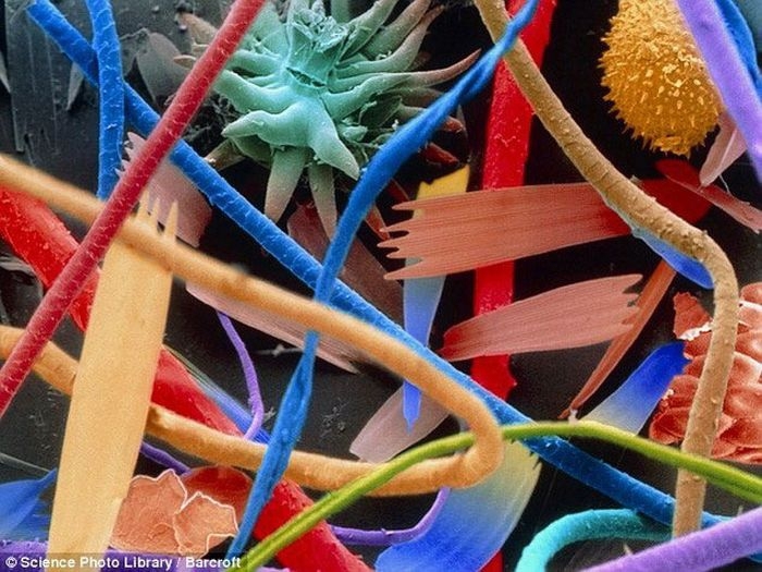 Обычные вещи под микроскопом