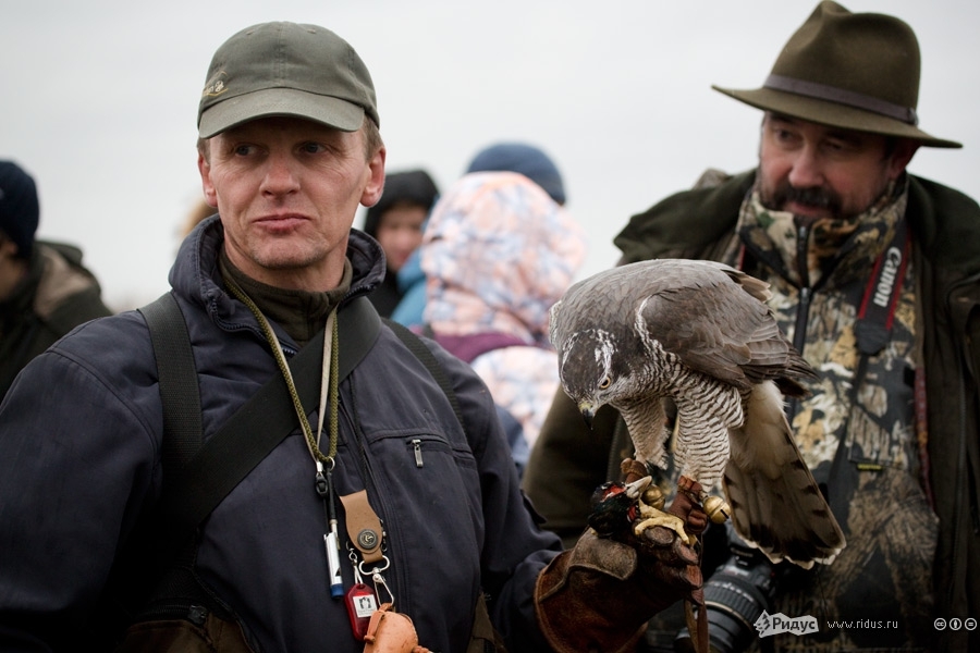 Всероссийский слет охотников с ловчими птицами 2013
