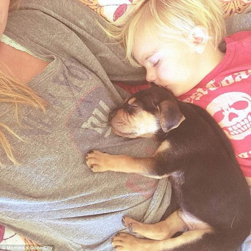 Очаровательная  фотосессия спящего ребенка и щенка