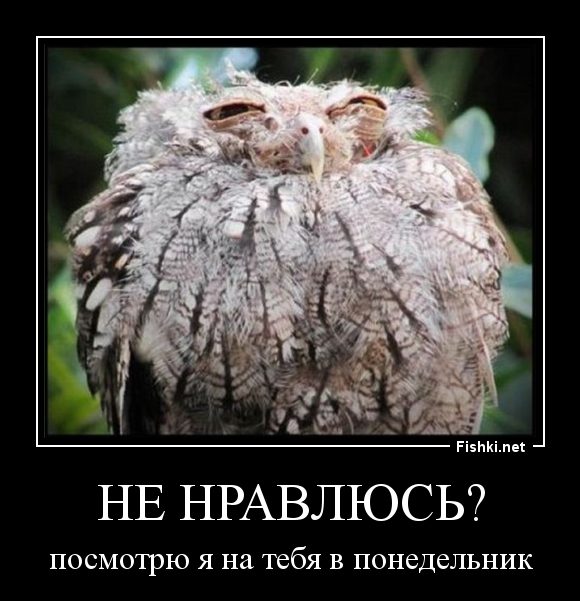 Не нравлюсь?