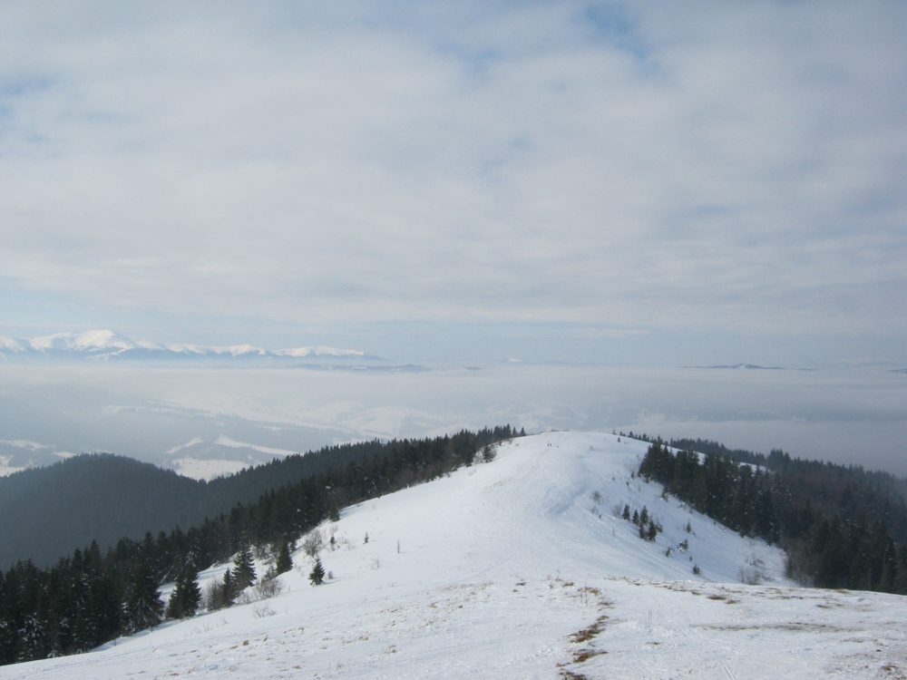 Карпаты. Славское