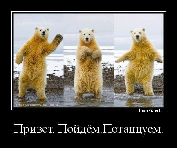 Привет. Пойдём.Потанцуем.