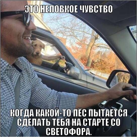  Подборка автоприколов. Часть 80