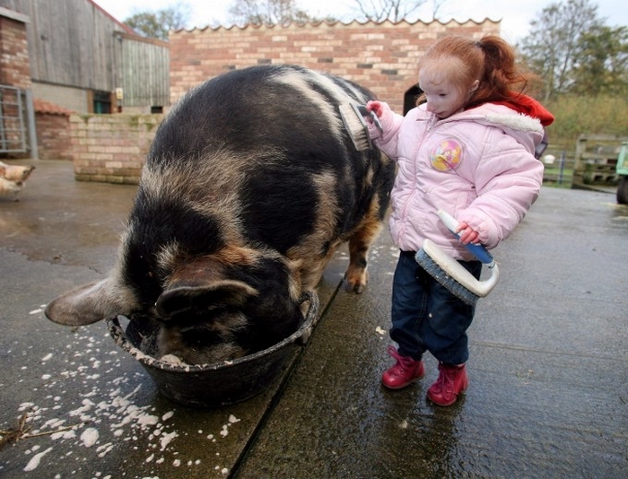 Крошка Шарлотта