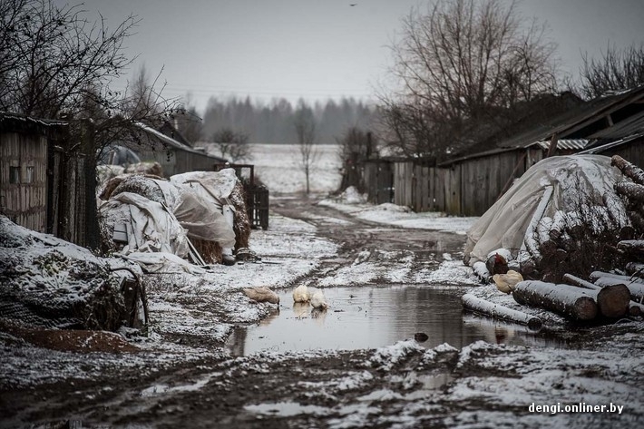 Молодой специалист о жизни в  белорусском агрогородке Рясно