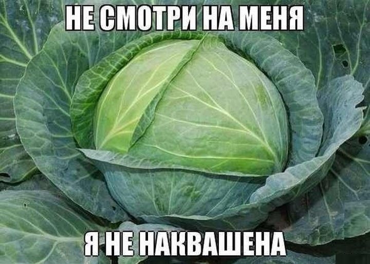 Типичная капуста