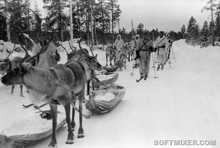 Cоветско-финская война в фотографиях