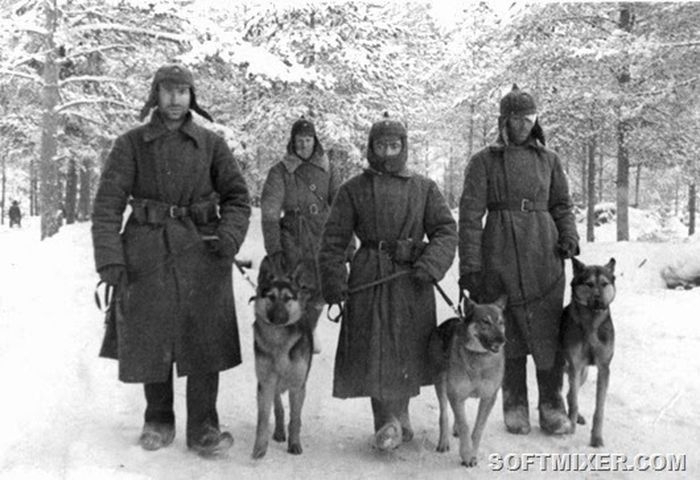 Cоветско-финская война в фотографиях