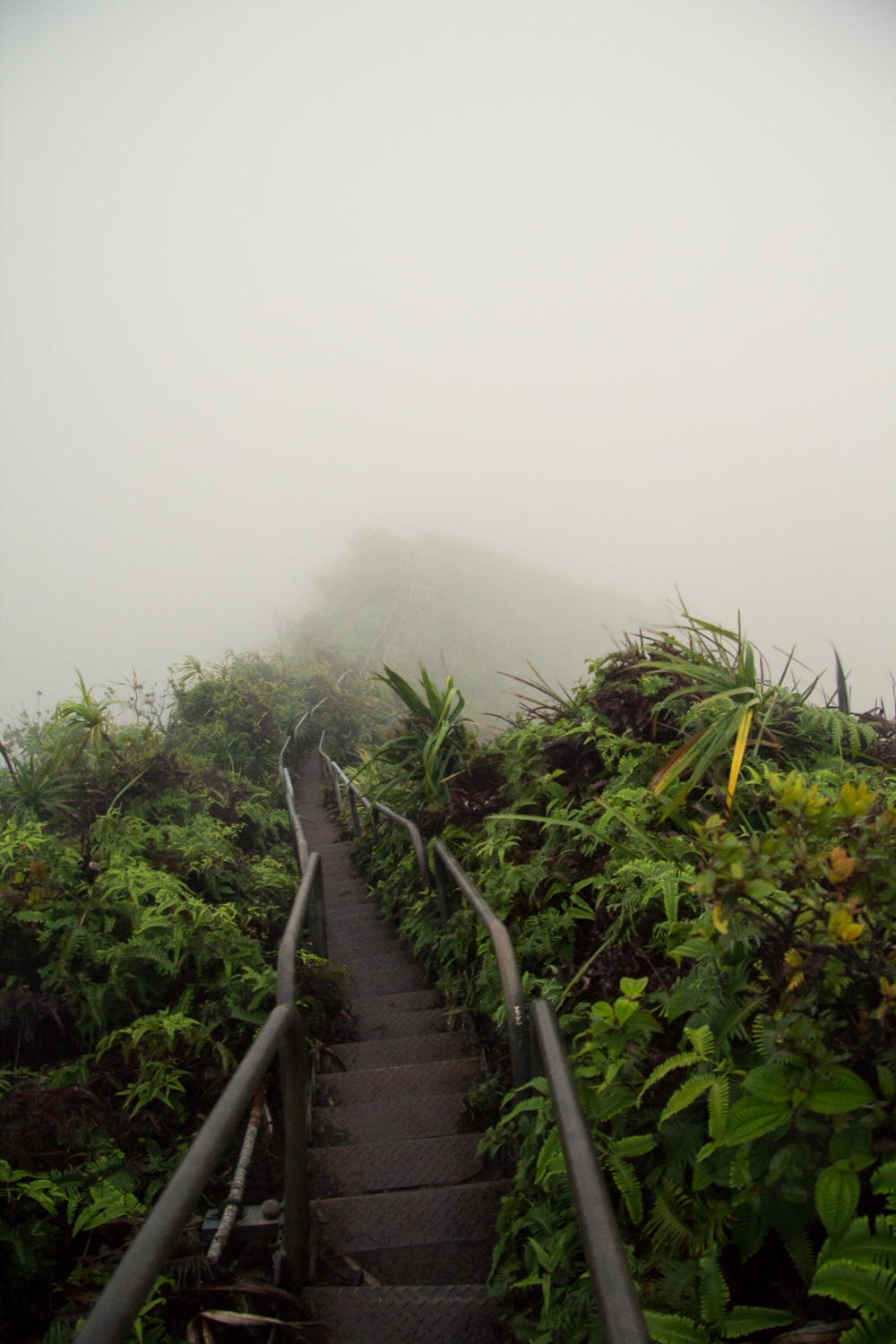 Лестница в небо на Гавайях