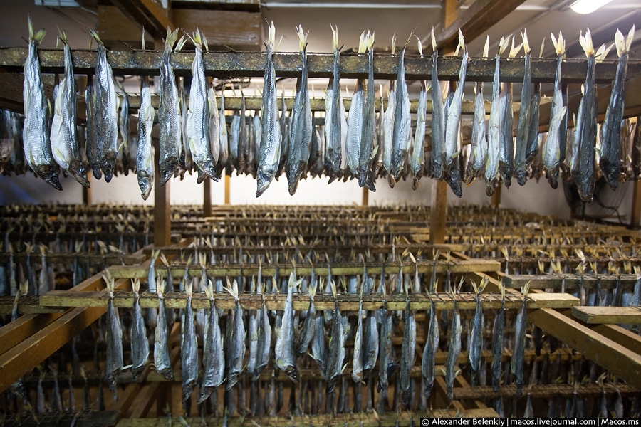 Экскурсия на Южно-Сахалинский рыбный завод