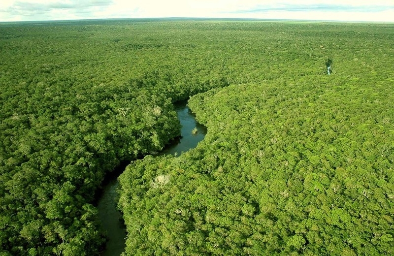  Путешествие в джунгли реки Амазонки