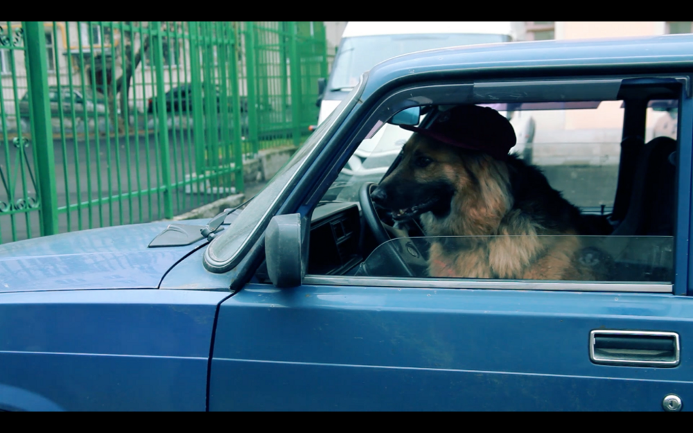 Русский научил собаку управлять автомобилем и теперь планирует поехать на Северный полюс!