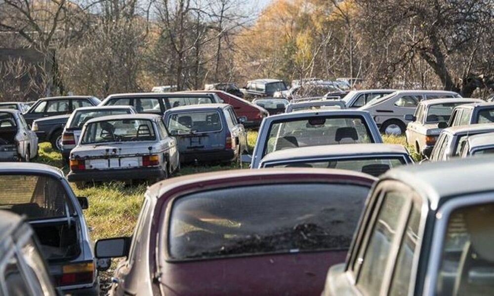 500 спрятанных автомобилей в лесу