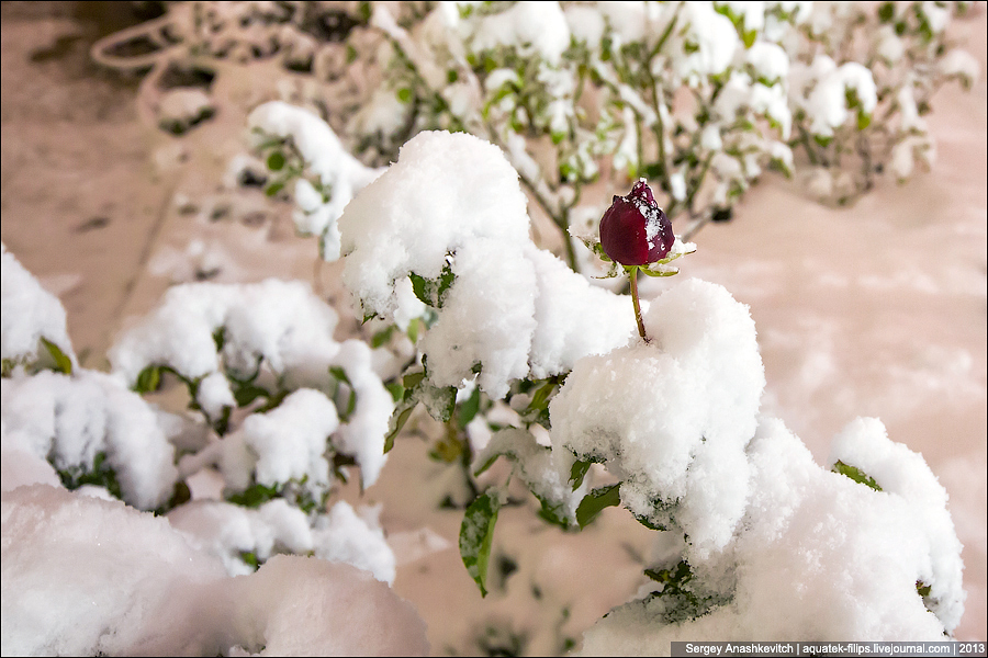 Ночное одеяло из снега или небанальный Севастополь 