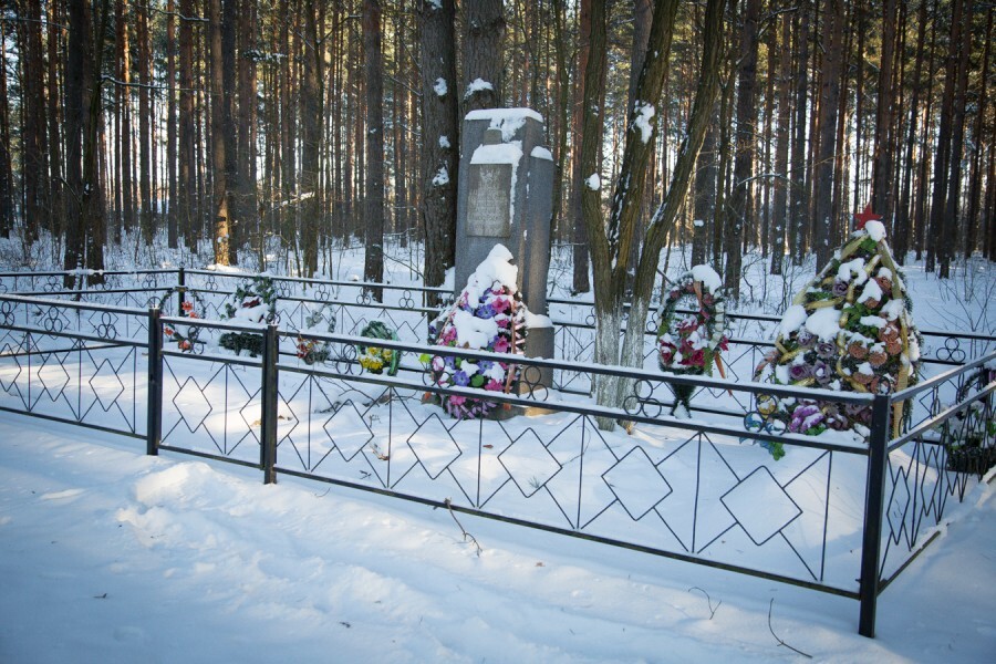 Один день в белорусской деревне