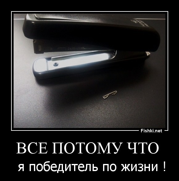 все потому что 