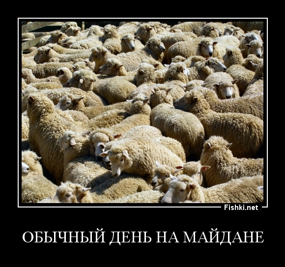 Обычный день на майдане