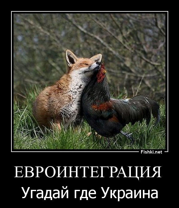 ЕВРОИНТЕГРАЦИЯ 