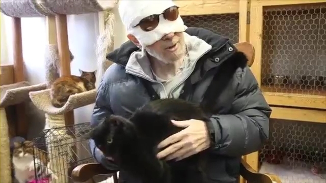 Кошки из приюта утешают больного раком мужчину