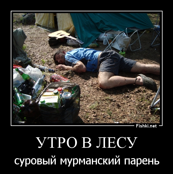 Утро в лесу