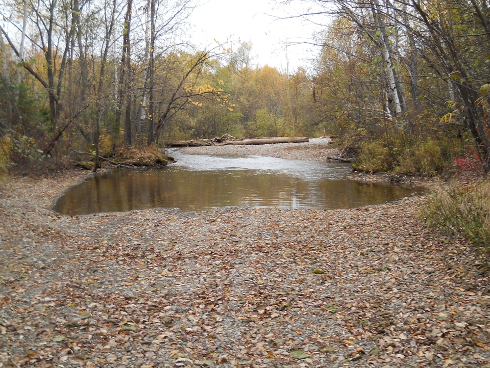 Осенняя рыбалка на горной реке.