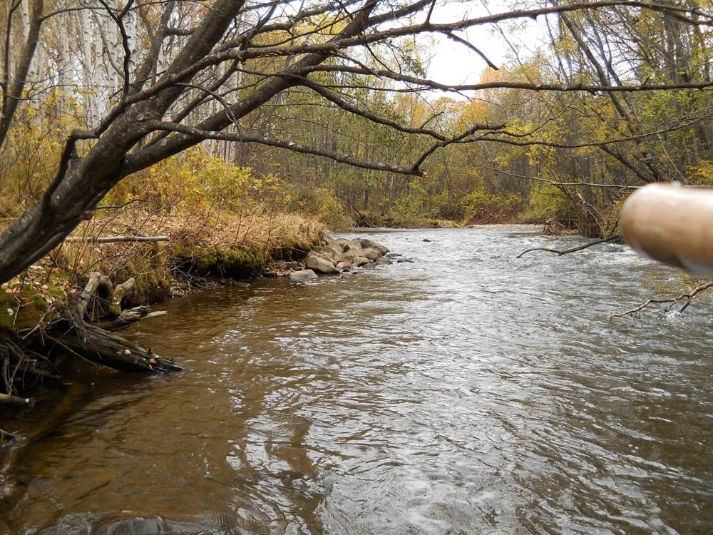 Осенняя рыбалка на горной реке.