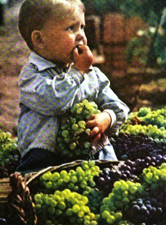 Прекрасные фотографии Советской Украины 1950-1961 годов