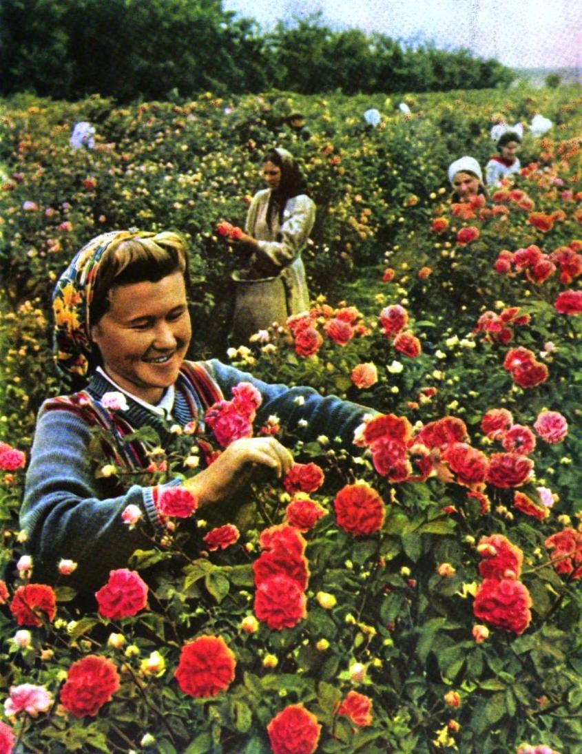 Прекрасные фотографии Советской Украины 1950-1961 годов