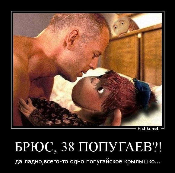 Брюс, 38 попугаев?!