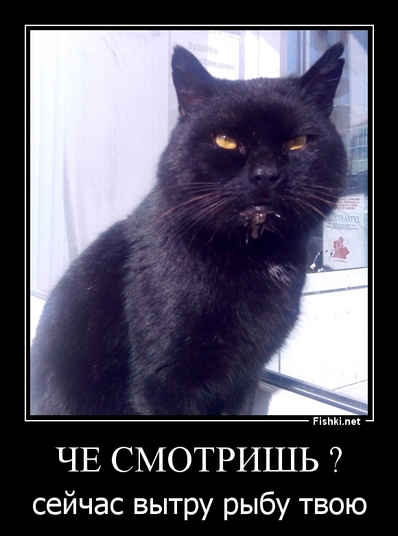 Че смотришь ?