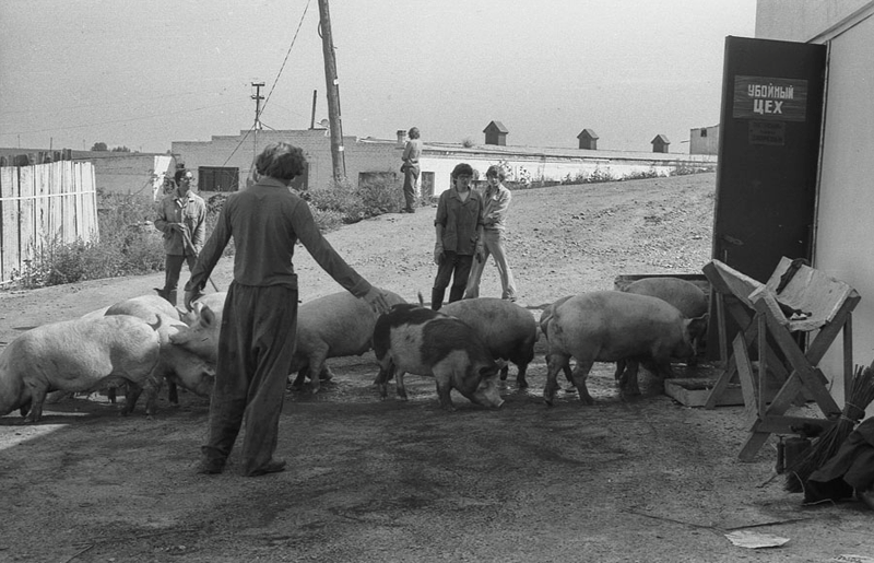 Фотографии Советского Союза 1970-1980 годов