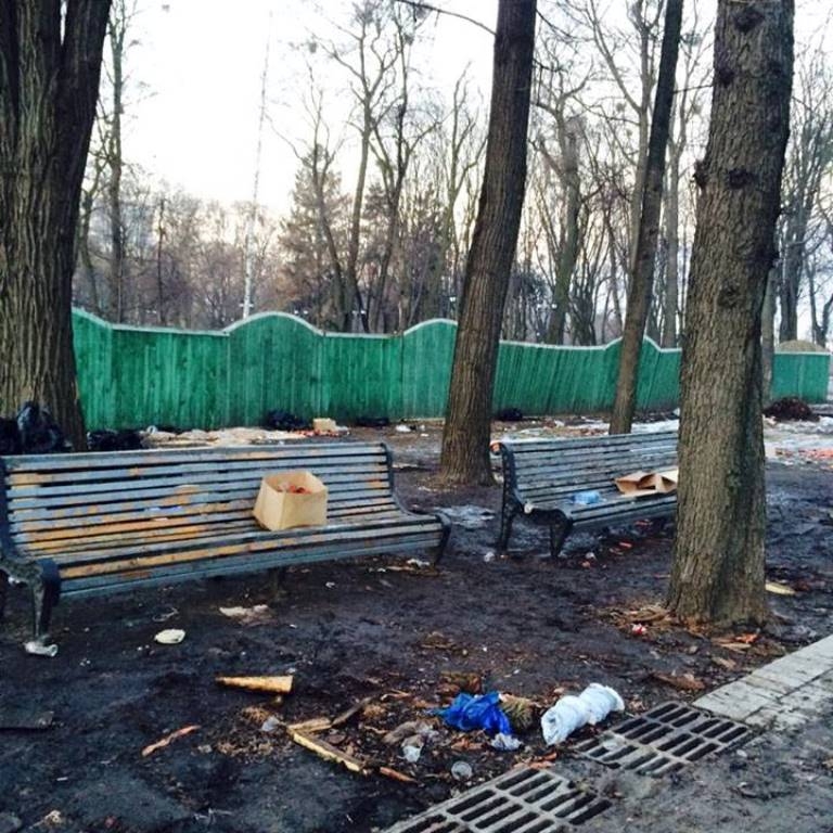 Последствия митинга в киевском парке