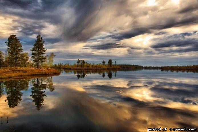 Завораживающие фото природы в отражении воды