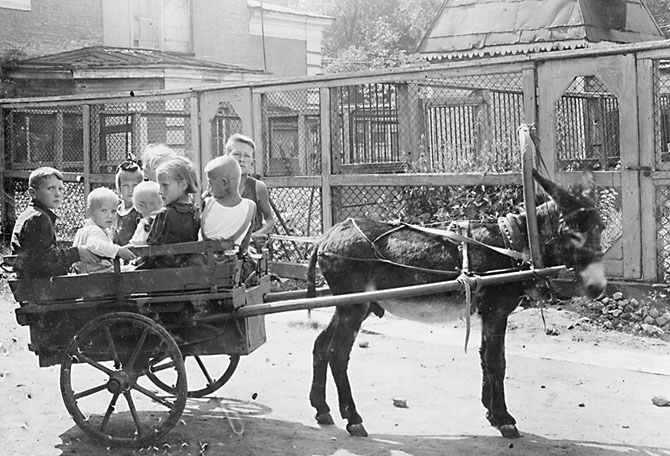 Зоопарк во время блокады Ленинграда