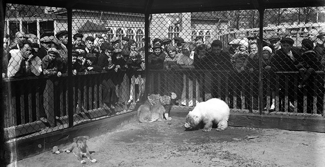 Зоопарк во время блокады Ленинграда