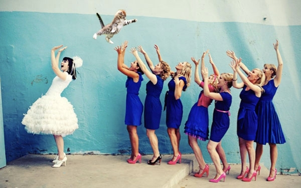 Невесты, бросающие кошек