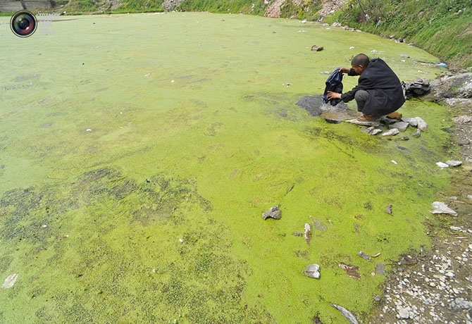 Загрязнение воды в Китае