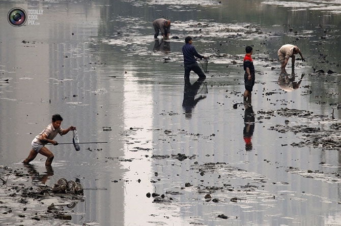 Загрязнение воды в Китае