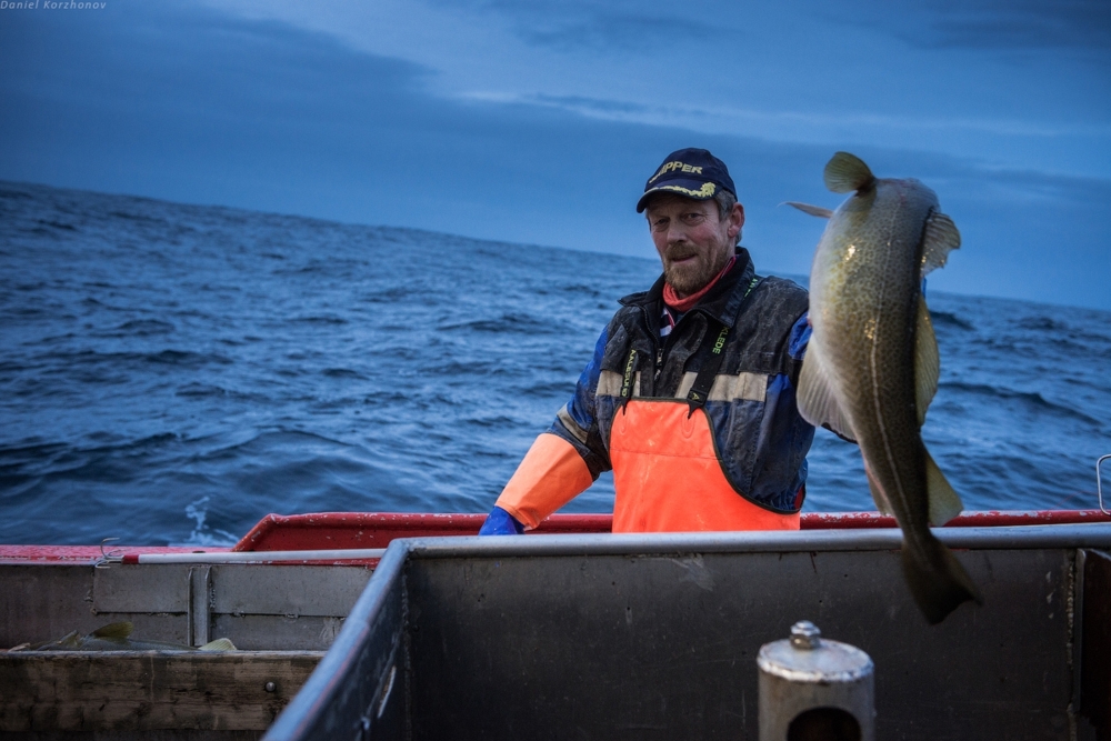 Норвежская рыбалка с капитаном  