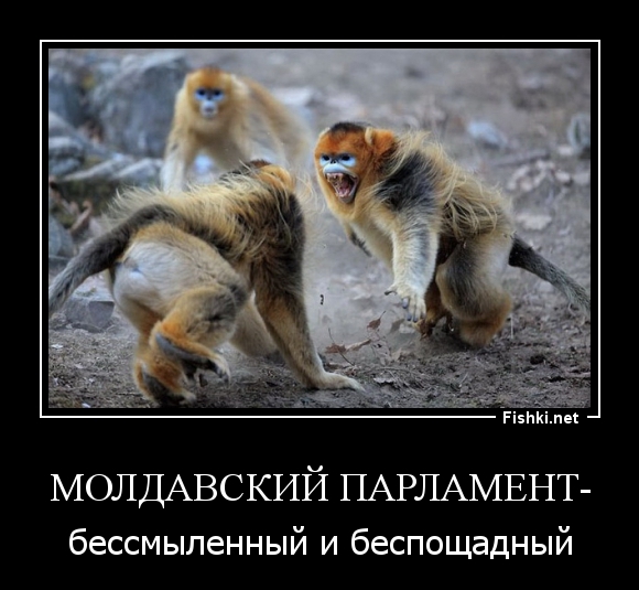 Молдавский парламент-