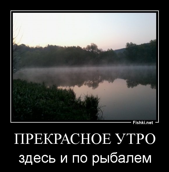 прекрасное утро