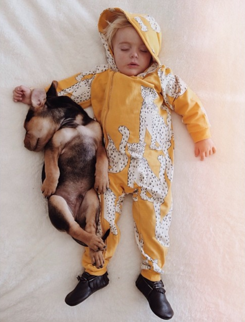 Мальчик и пес