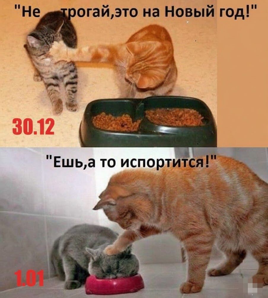 Фишкина солянка 