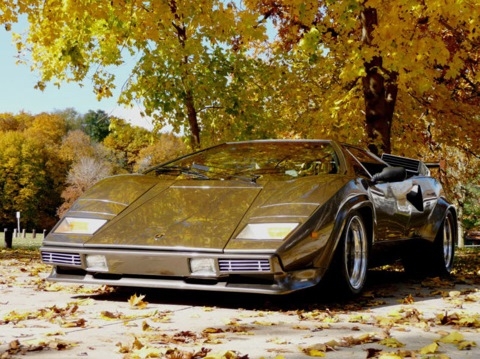 Даже не пытайтесь повторить это у себя дома? 1980 Lamborghini Countach