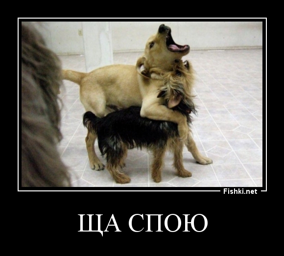 ЩА спою