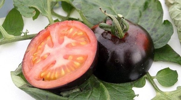 Черные помидоры