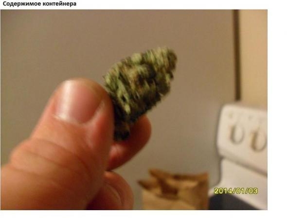 В Колорадо за первые сутки продали легальной марихуаны на миллион